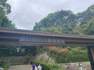 翌日は品川駅からバスに乗って東京港野鳥公園へ。こちらも入園料（300円）が...