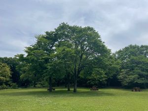 外には芝生の広場に椅子とテーブルのある東屋などもあってピクニック気分も楽し...