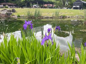 近くに来たついでに旧芝離宮公園も散策。駅の近くにこうした広い公園があるのも...