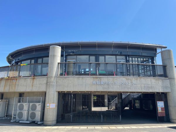 日本・千葉県「東京湾岸バードウォッチング」の写真：ここには無料の観察センターもあります。