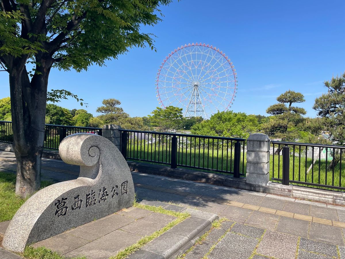 先ずは葛西臨海公園野鳥園へ。雲ひとつない青空でした。