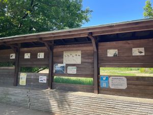 先ずは葛西臨海公園野鳥園へ。雲ひとつない青空でした。