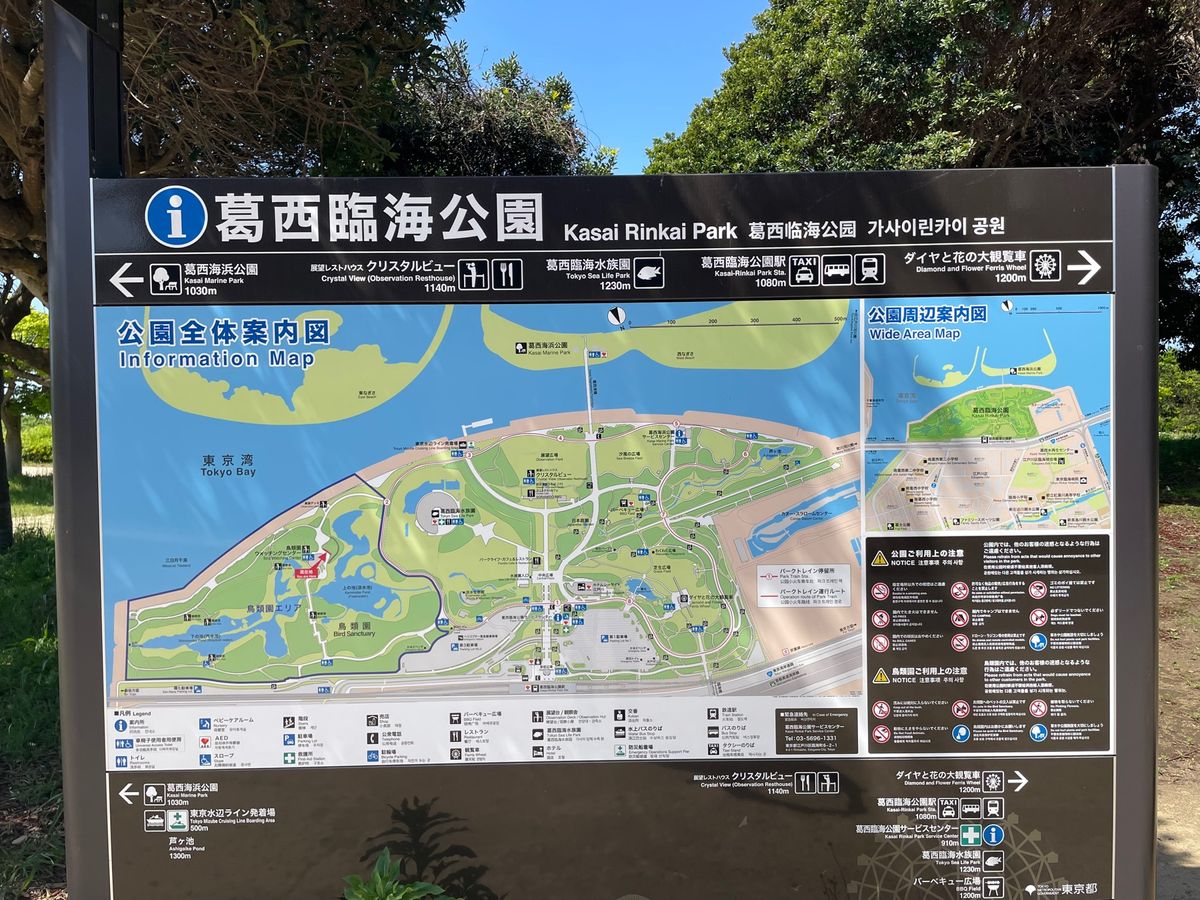 先ずは葛西臨海公園野鳥園へ。雲ひとつない青空でした。