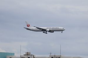 ここは羽田空港に近いので飛行機ウォッチングも楽しめます。（笑）