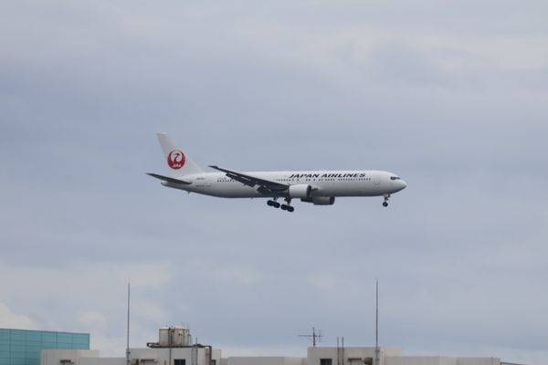 日本・千葉県「東京湾岸バードウォッチング」の写真：ここは羽田空港に近いので飛行機ウォッチン...