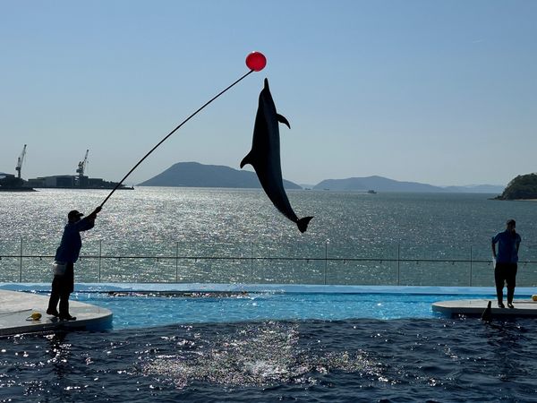 日本・香川県「香川・高松　2024.05」の写真