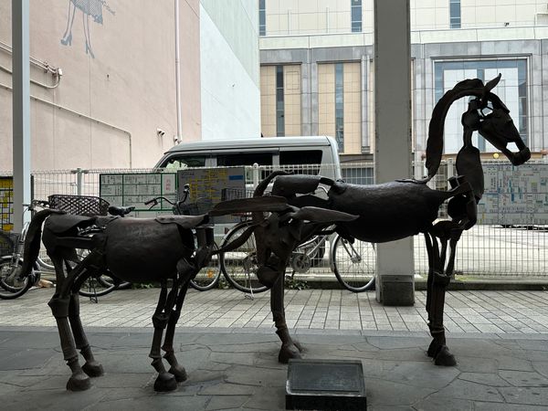 日本・香川県「香川・高松　2024.05」の写真