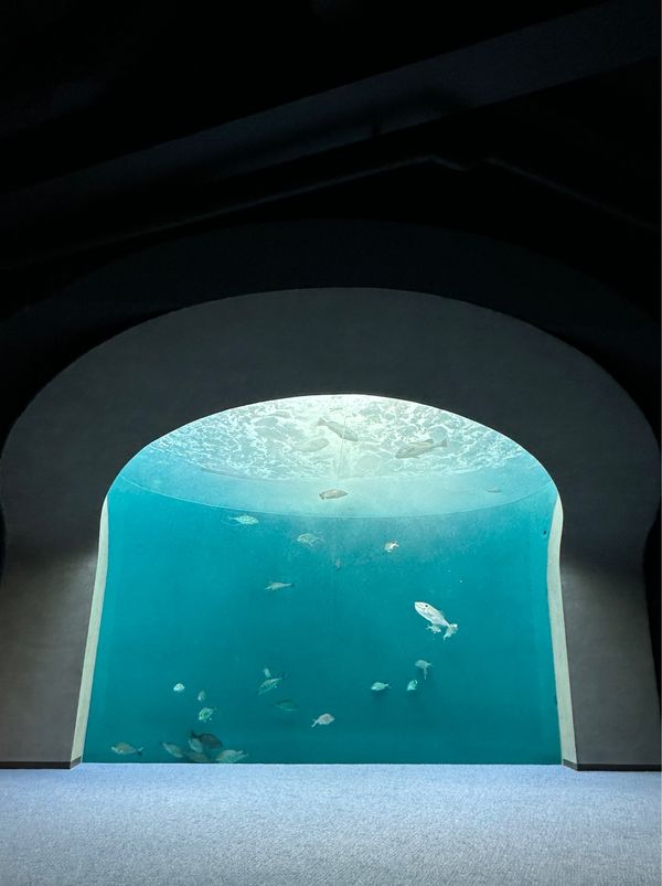 日本・香川県「香川・高松　2024.05」の写真