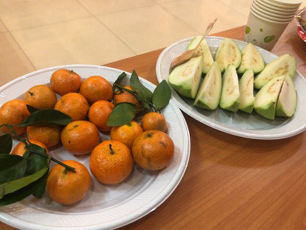 ベトナム・ハノイ「ベトナム研修旅行」の写真：ベトナムの食事