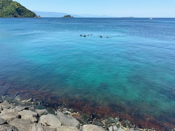 日本・静岡県「伊豆帰省」の写真：ここがどこかわかる人は地元の人かダイバー...