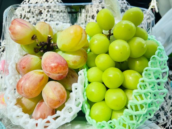 日本・長野県「ぶどうを求めて佐久へ！」の写真：ぶどうが安い