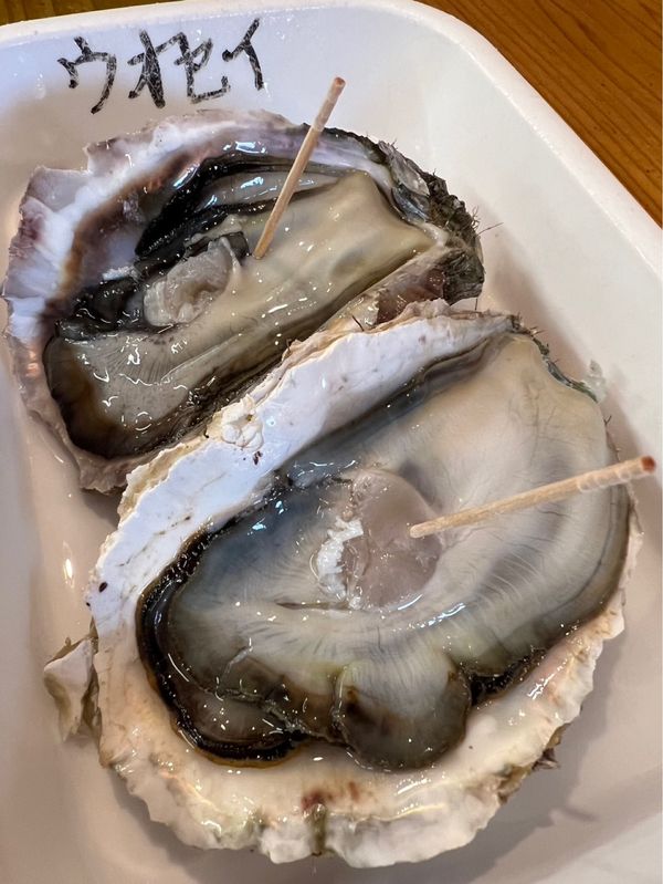 日本・長野県「能登とか高山とか色々巡る旅①」の写真