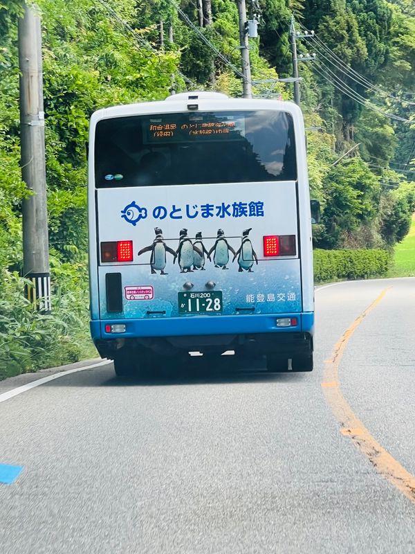 日本・石川県「能登とか高山とか色々巡る旅②」の写真：かーらーのー