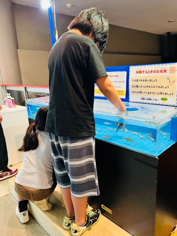 日本・石川県「能登とか高山とか色々巡る旅②」の写真