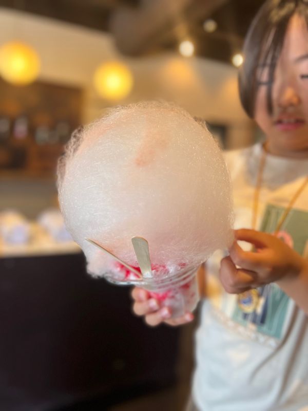 日本・岐阜県「能登とか高山とか色々巡る旅③」の写真