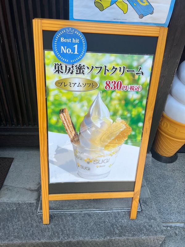 日本・岐阜県「能登とか高山とか色々巡る旅③」の写真