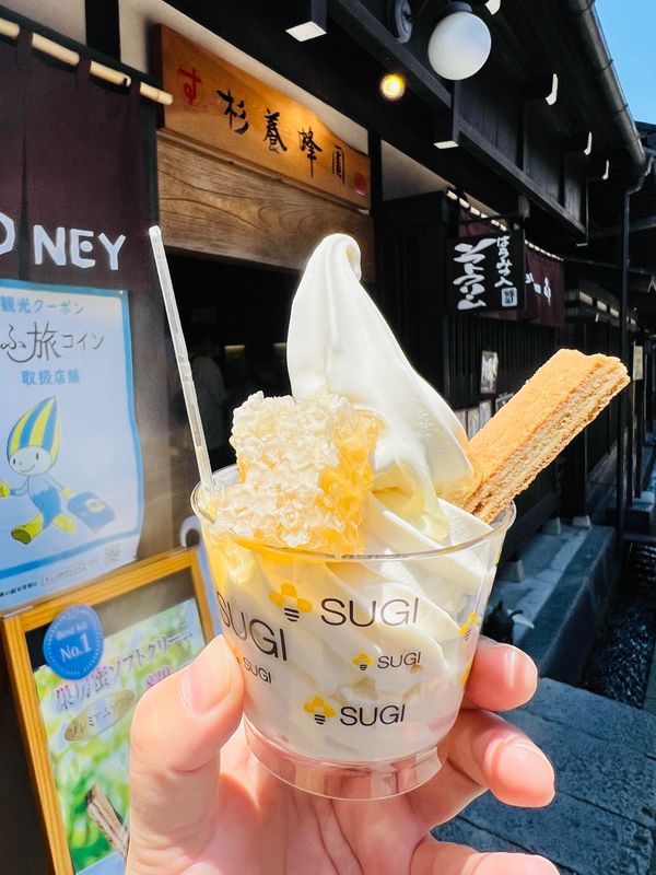 日本・岐阜県「能登とか高山とか色々巡る旅③」の写真