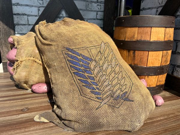 日本・大阪府「夜行バスでUSJ」の写真