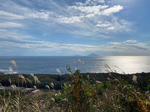 日本・東京都「大島ダイビング」の写真
