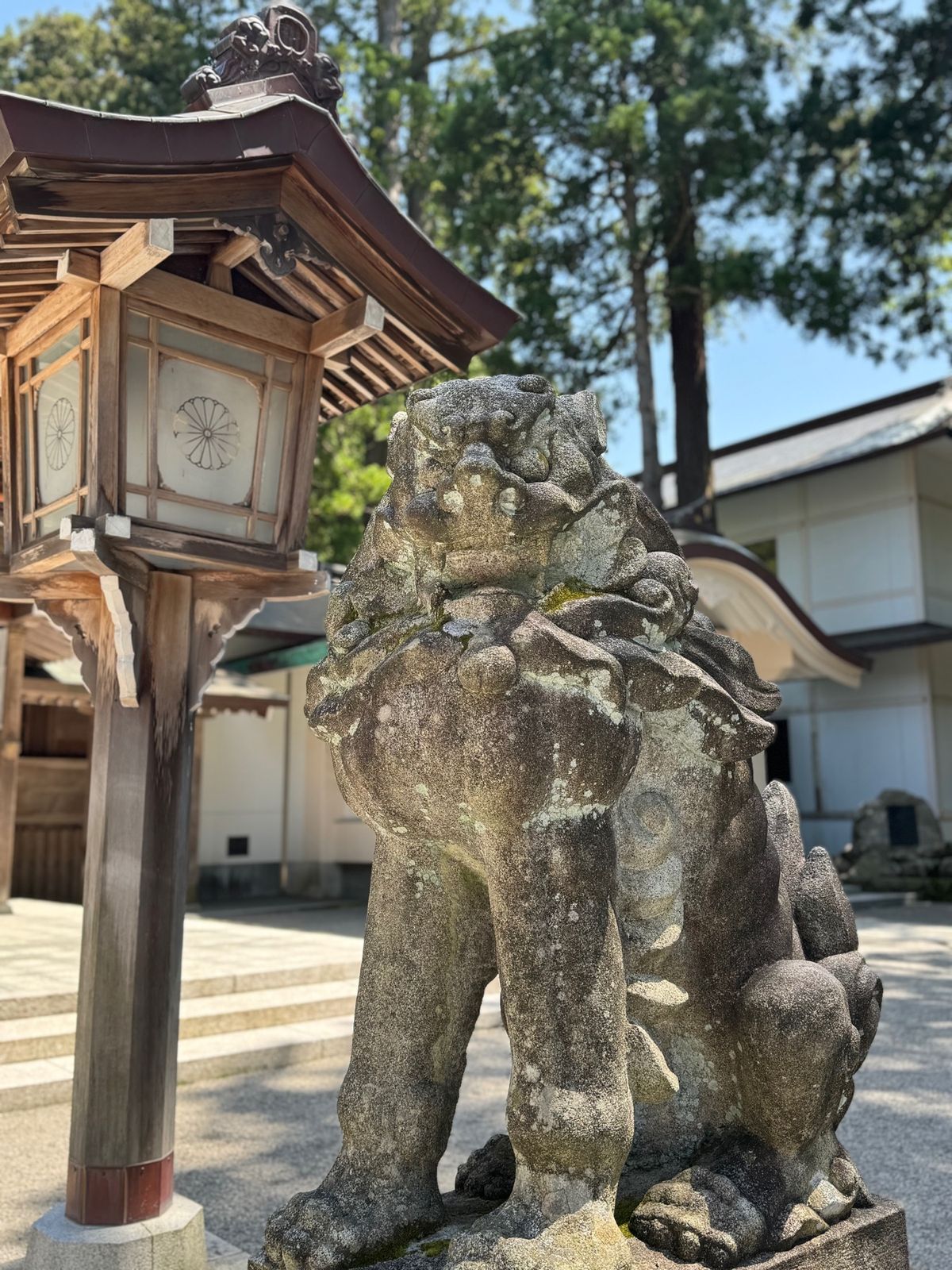 白山比咩神社

ここに呼ばれてとかもしれない。
