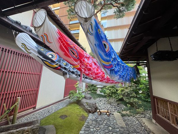 日本・石川県「石川　九谷茶碗祭り」の写真：界　加賀