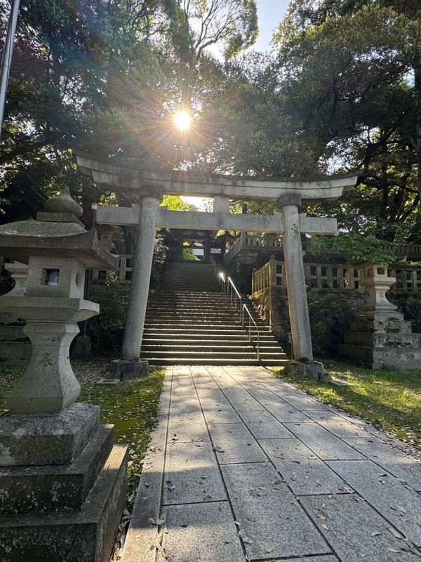 日本・石川県「石川　九谷茶碗祭り」の写真：服部神社