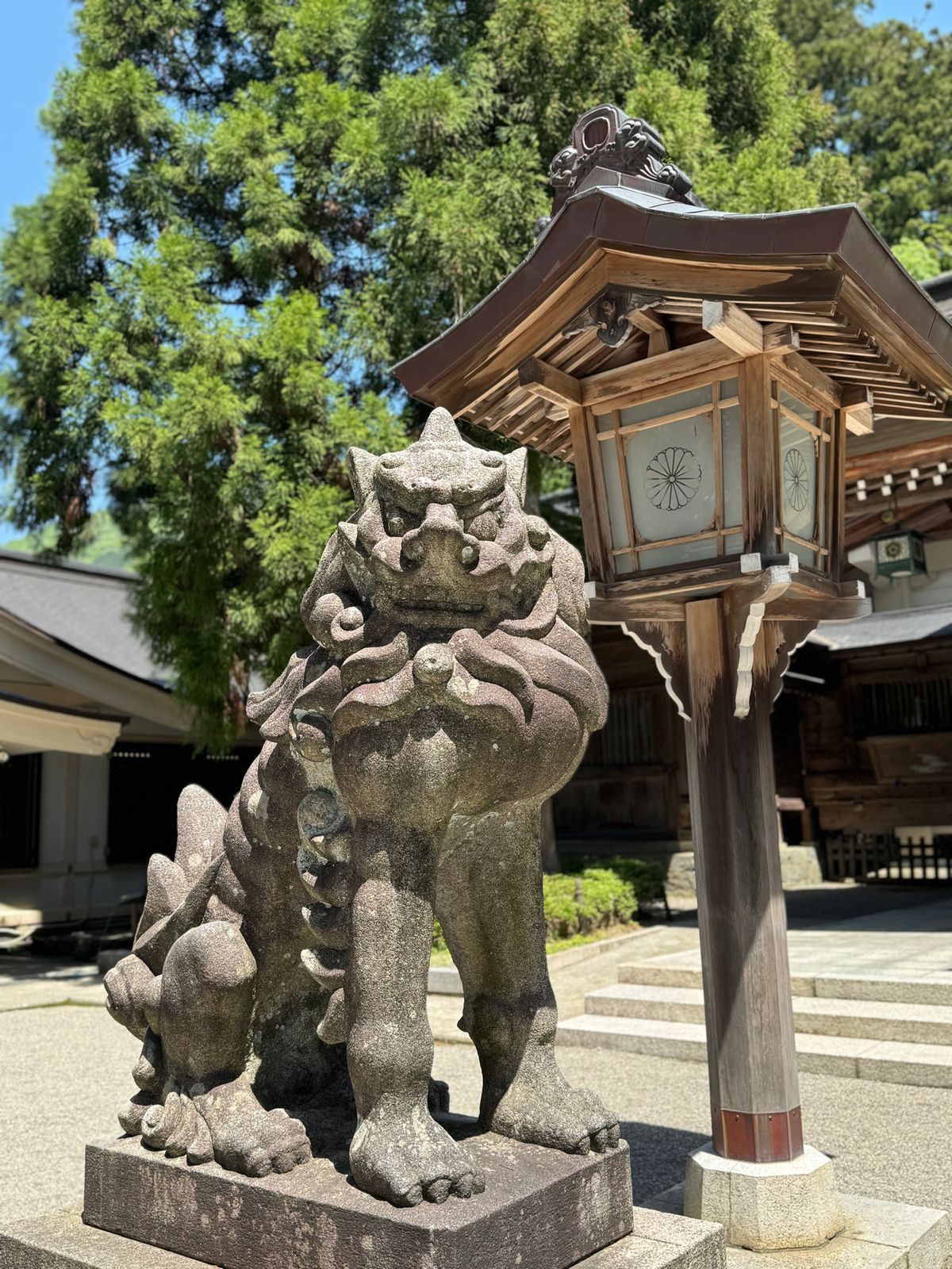 白山比咩神社

ここに呼ばれてとかもしれない。
