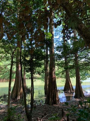 篠栗九大の森
奈田海岸
福岡タワー