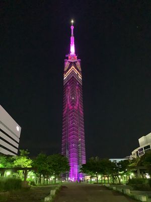 篠栗九大の森
奈田海岸
福岡タワー