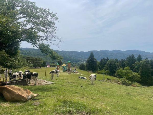 日本・和歌山県「アウトドアパーティ」の写真