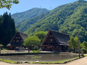 暑かったな。
『越中膳所 海の神山の神』は美味しかった。