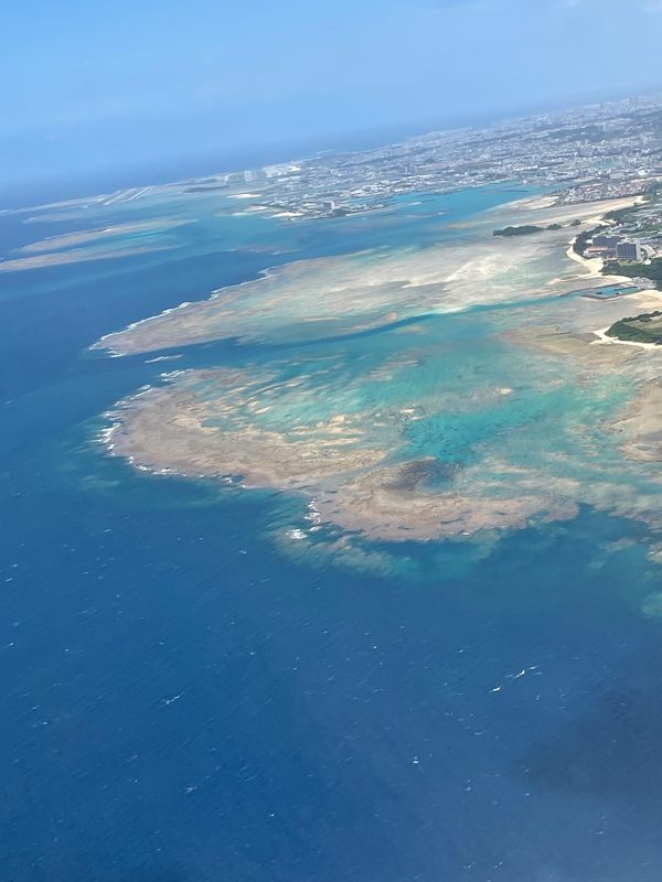 日本・沖縄県恩納村「沖縄3週間滞在」の写真：一週目のポイントは霧の紅茶