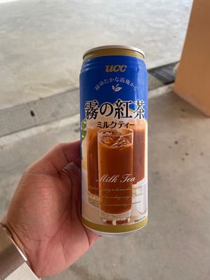 一週目のポイントは霧の紅茶