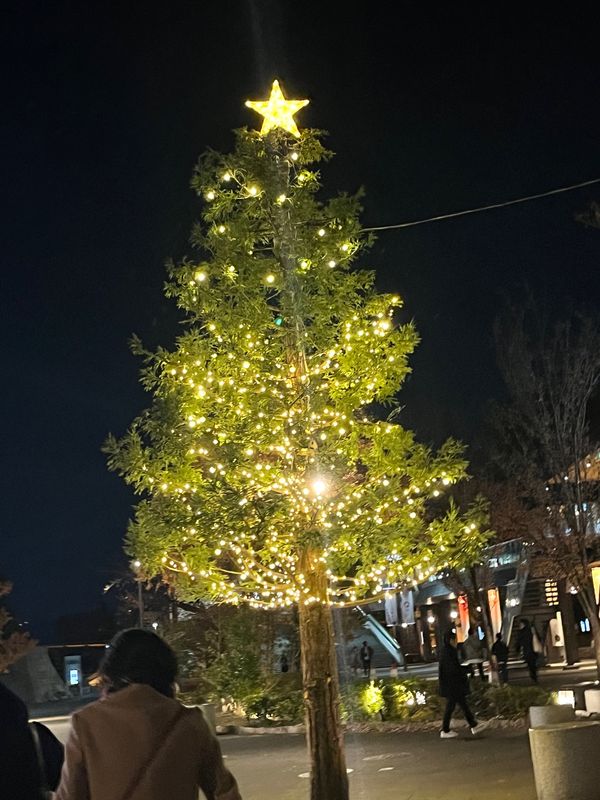 日本・大阪府「大阪  サークルでイベントに参加」の写真：12/2 リハ帰りの大阪風景＆出演メンバ...