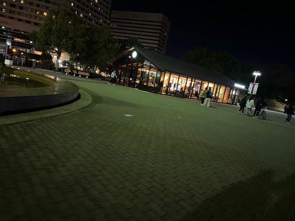 日本・大阪府「大阪  サークルでイベントに参加」の写真：大阪 帰り道 皆で食べた新幹線ディナー