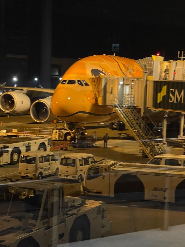 アメリカ(米国)・オアフ島「ハワイ」の写真：ラウンジで出発待ちの後、搭乗ゲートへ。今...