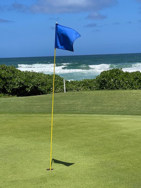 アメリカ(米国)・オアフ島「ハワイ」の写真：ワイルアゴルフコースはおすすめ。パブリッ...