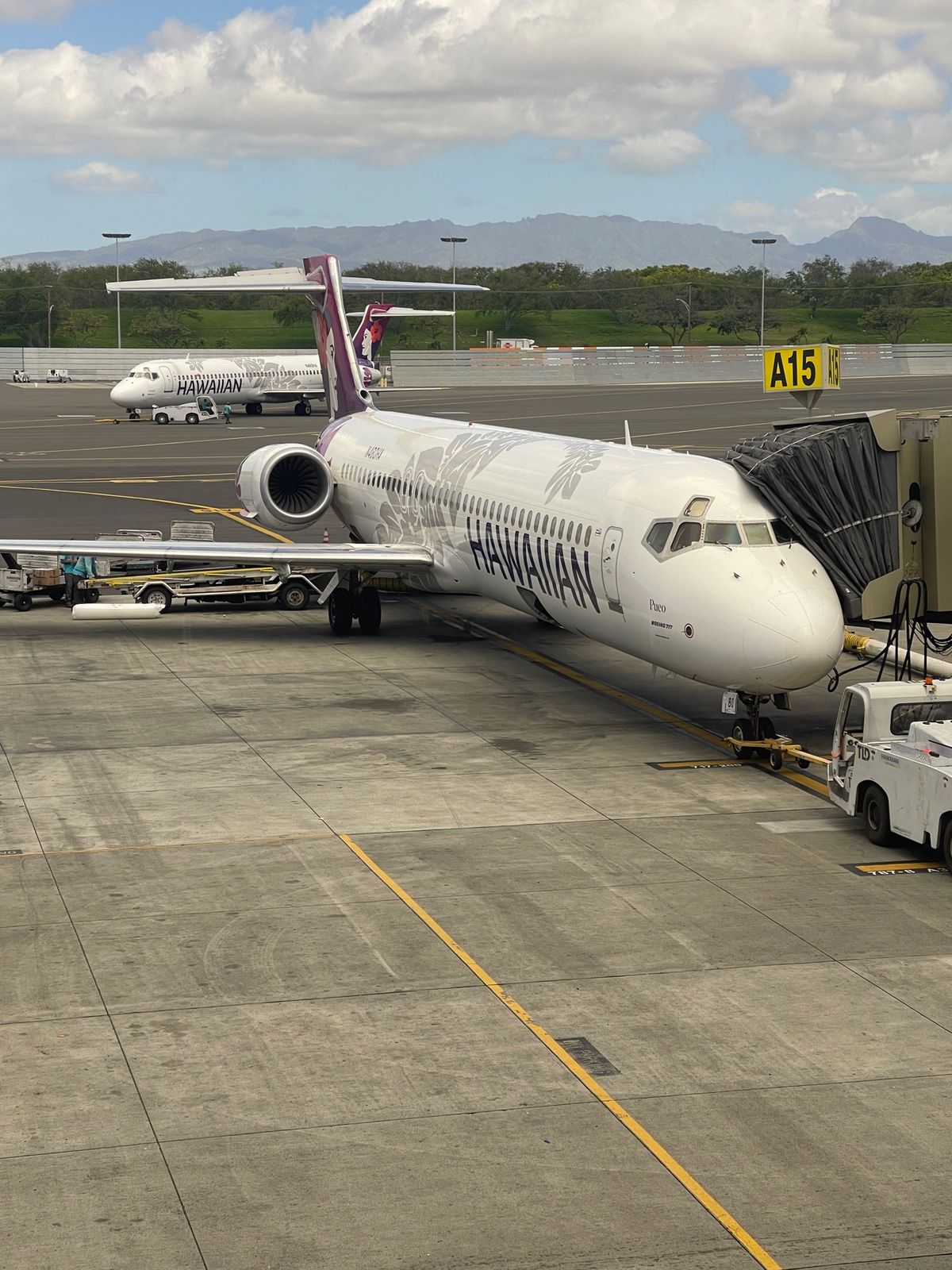 ガーデンアイランドに到着‼️