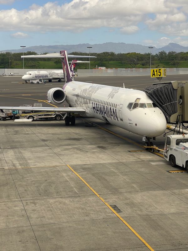アメリカ(米国)・オアフ島「ハワイ」の写真：ガーデンアイランドに到着‼️