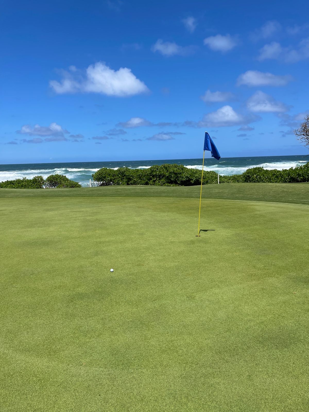 ワイルアゴルフコースはおすすめ。パブリックだから格安でプレー可能。ただし電...