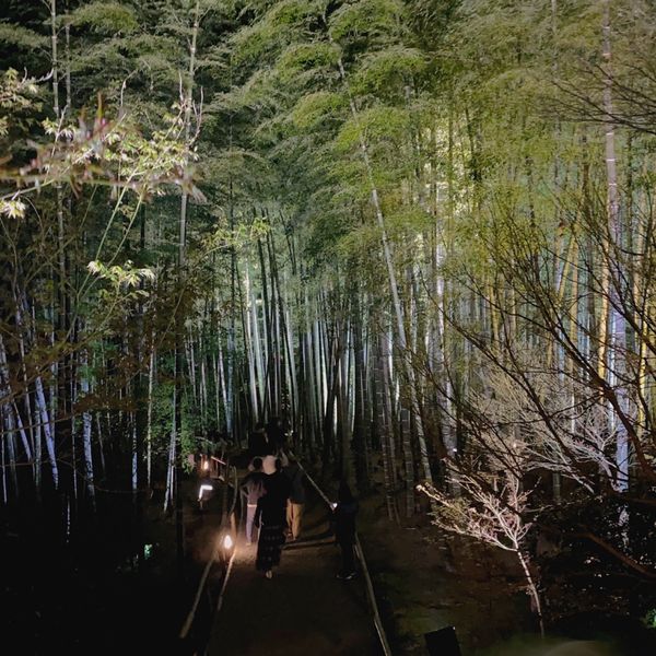 日本・京都府「家族で京都旅行」の写真