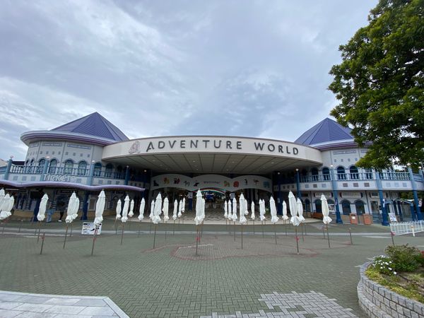 日本・アドベンチャーワールド「大阪&和歌山旅行」の写真：アドベンチャーワールド！パンダ会えたー