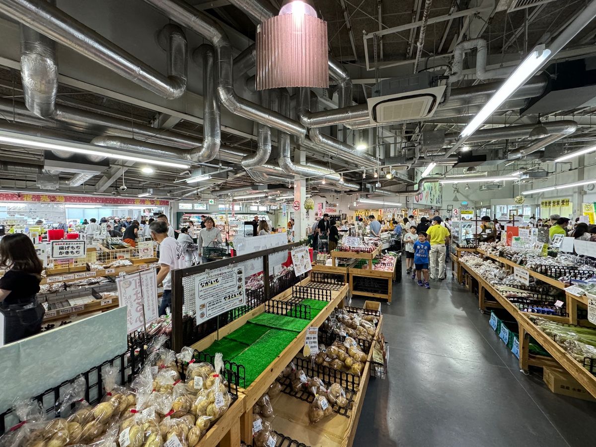 道の駅 水の郷さわら

この辺は鰻屋さんが多いのだけど、鰻が名産なのだろう...