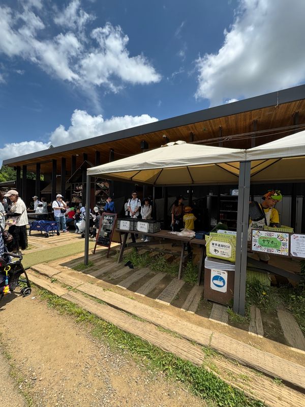 日本・千葉県「農園リゾートザファーム（The Farm）」の写真：ザファームに、宿泊すると野菜の収穫体験が...