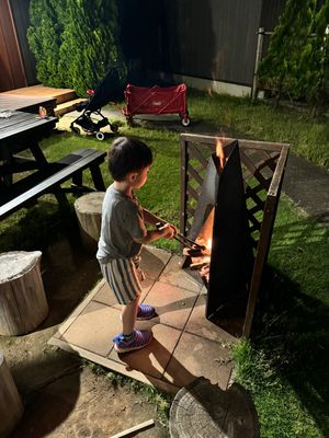 夕飯はかずさ和牛ステーキのBBQ

チキンや豚、ソーセージなどもあり、サラ...