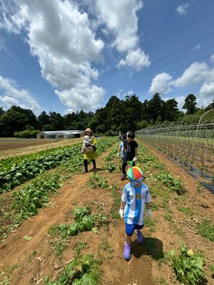 ザファームに、宿泊すると野菜の収穫体験がついてくる（多分全員）

到着日の...