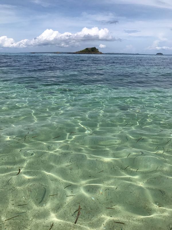 フィリピン「セブ、ボホール、マラパスクア」の写真