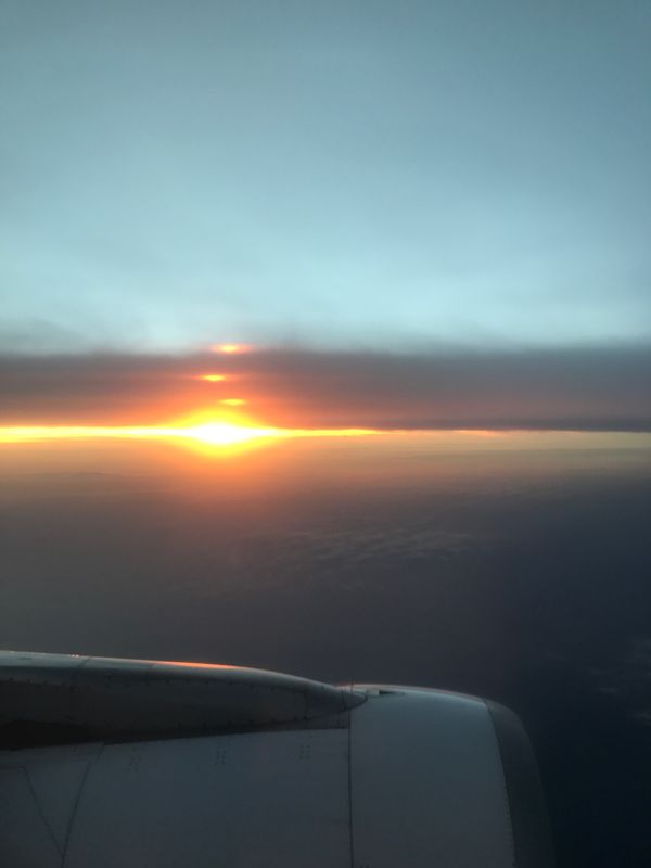 フィリピン「セブ、ボホール、マラパスクア」の写真