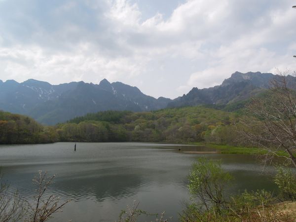 日本・長野県「戸隠バードウォッチングと花の旅」の写真