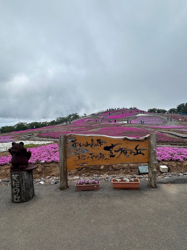 日本・愛知県「奥三河ドライブ」の写真